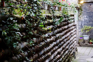 垂直绿植墙 打造绿色空间