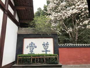 中式影壁 传统花卉图案装饰