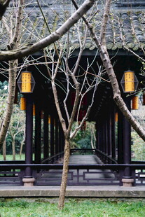 中式古亭 静谧园林景致