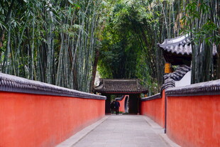 红墙竹林间的中式景致