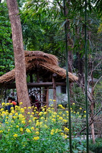 田园小屋旁的灿烂花海
