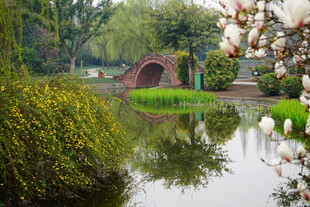 湖畔拱桥春色如画