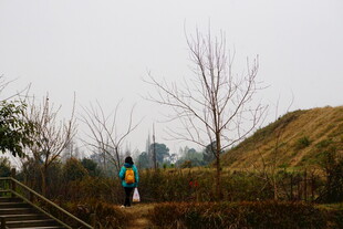 户外徒步者穿行于草木间