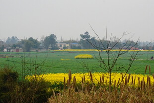 乡村田野间的多彩风光