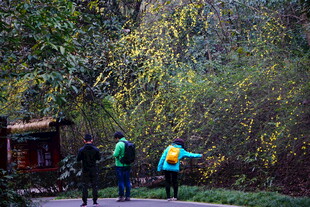 秋日林间漫步的三人