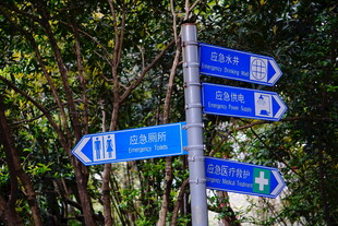 森林中的多向指示路标