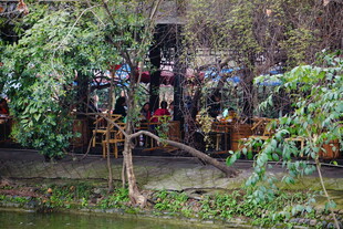 庭院中的休闲惬意场景