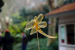 金色透明蜻蜓工艺品