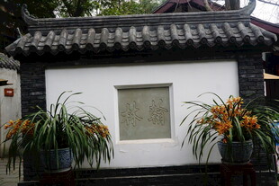 中式庭院墙景 绿植相伴