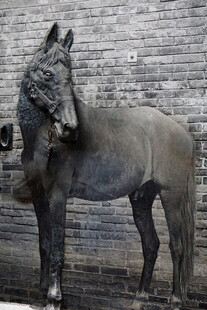 灰墙前的骏马雕塑