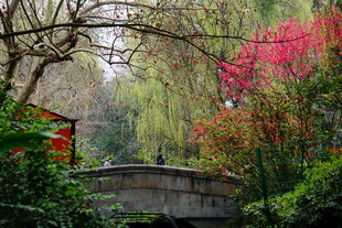 春日石桥旁的烂漫景致