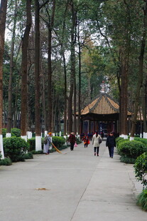 林间小道中的古朴亭子