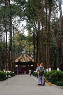 古寺林间清扫僧