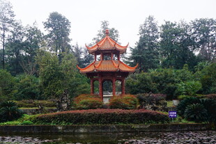 中式园林中的精美凉亭