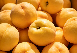 一堆黄桃