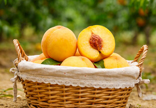 篮子里的黄桃