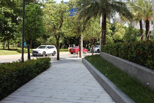 城市中整洁的林荫步道