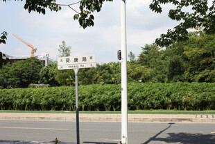 道路旁的交通指示牌