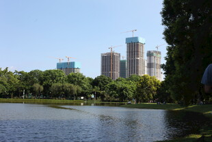 湖畔高楼与葱郁绿植景观