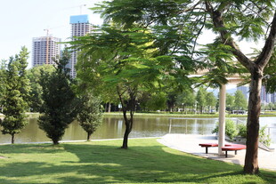 城市公园中的休闲绿地景观