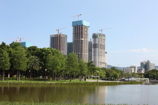 湖畔在建高楼与绿树景观