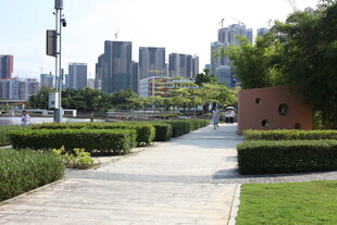 城市中的宁静花园小径