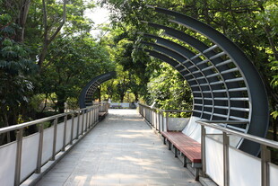 林间拱形步道 静谧休闲处