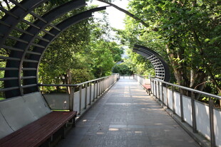 绿荫环抱的拱形步道