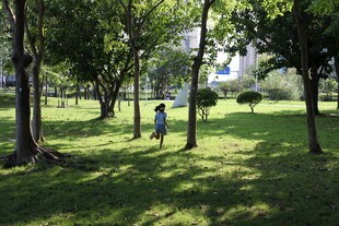 公园中漫步的人