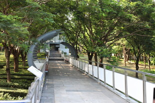 林间拱形步道 绿意盎然