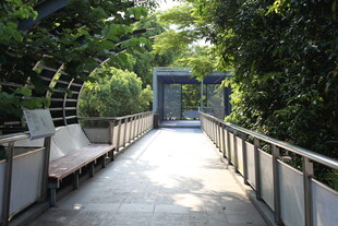 户外绿植环绕的休闲步道