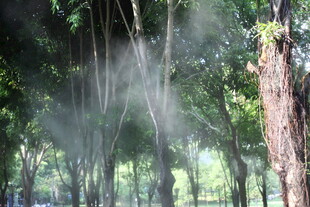 林间喷雾营造清新氛围