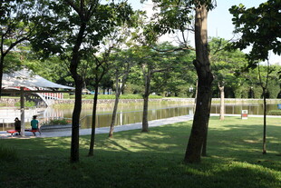 公园绿荫下的休闲户外场景