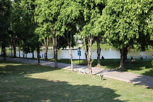 绿树成荫的户外休闲场地