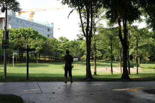 公园中独自站立的身影