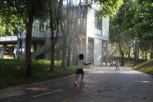 林荫道上的慢跑者