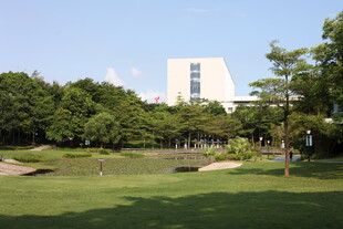 绿树环绕的开阔草坪景观