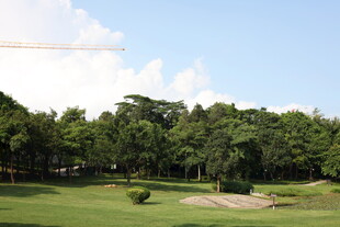 绿意盎然的高尔夫球场风光