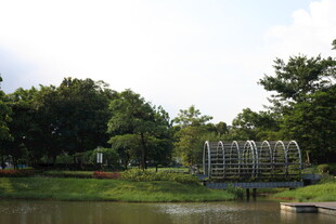 湖畔园林景观 绿意盎然