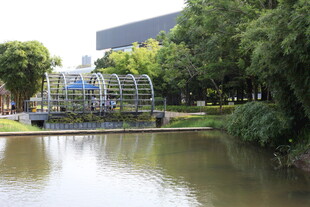 城市湖畔的休闲景观