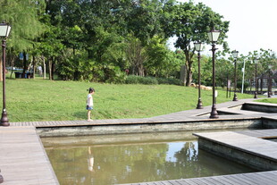 公园中的静谧水景与绿植