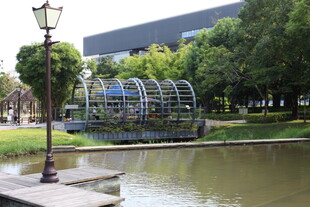 城市公园中的水边景观