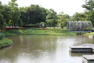 湖畔公园景致
