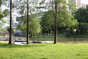 城市中的静谧绿地景观