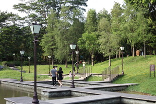 公园中的休闲场景