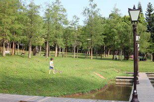 公园中的惬意休闲场景