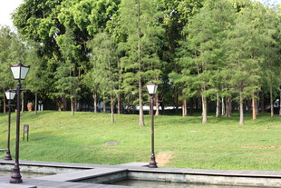 公园绿荫下的静谧景致