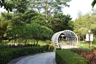 公园中的拱形景观小道