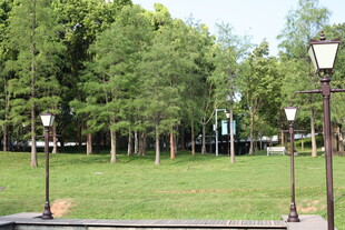 公园草地与路灯景观