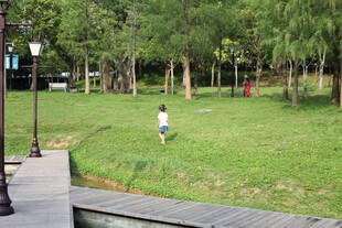 公园草地中漫步的人